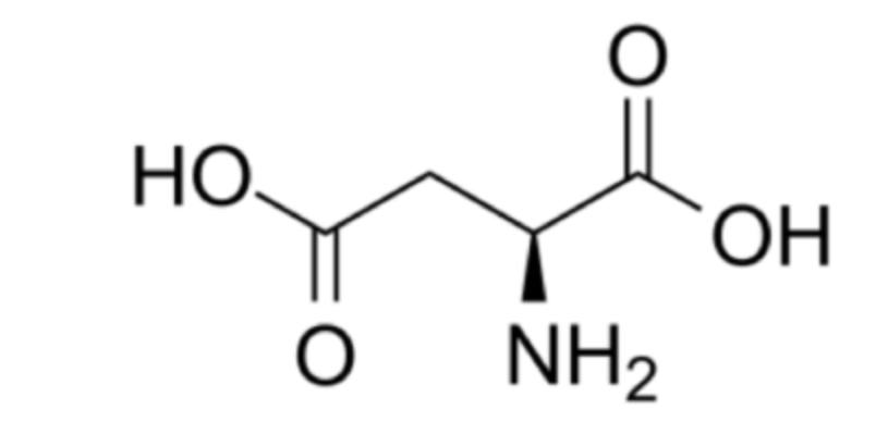 <p>Asp, D, polar negative</p>