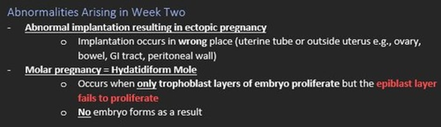 <p>Ectopic pregnancy</p><p>- Abnormal implantation (uterine tube or outside uterus)</p><p>Molar pregnancy (Hydatidiform Mole)</p><p>- Occurs when only the trophoblast layers of embryo proliferate and epiblast layer FAILS to proliferate. No embryo forms as a result</p>