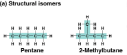 <p>Structural isomers</p>