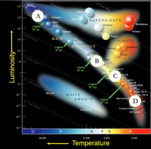 <p>Which star will change the <strong>Least </strong>over the next 10 billion years?</p>