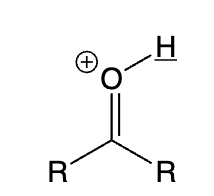 <p>protonated carbonyl</p>