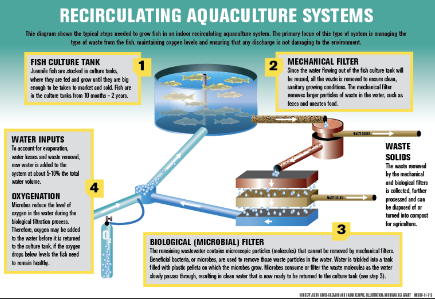<p><span>Most fish can be kept in these systems where the water re-circulates and is filtered to remove waste and pollution. The problems of disease, escaped fish and use of pesticides is removed but the fish may still be being fed large amounts of wild capture fish.</span></p>