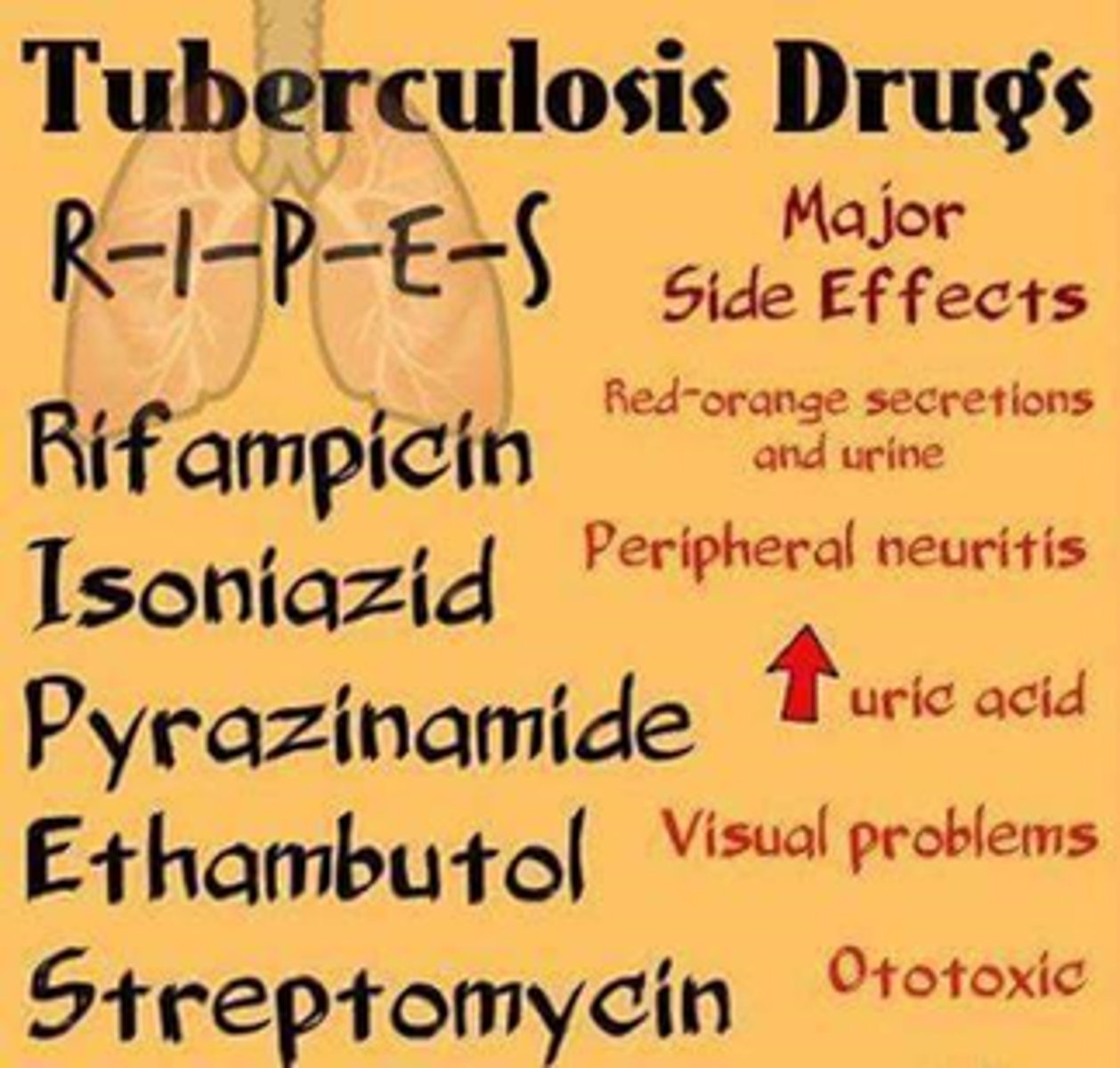 <p>-guideline for major TB drugs (antimycobacterials)</p>