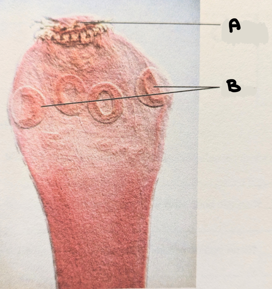<p>What is this called</p>