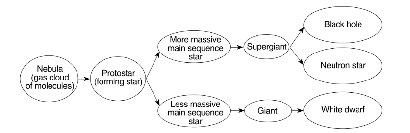 <p>Based on this flow chart, identify the characteristics of a main sequence star that determines whether the star becomes a giant or a supergiant. </p>
