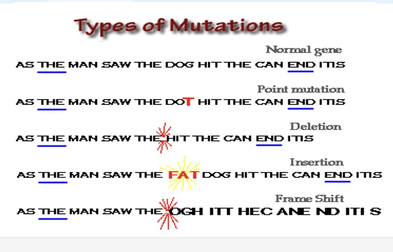 <ol><li><p>Acids</p></li><li><p>Point mutation, deletion, insertion, frame shift </p></li></ol><p></p>