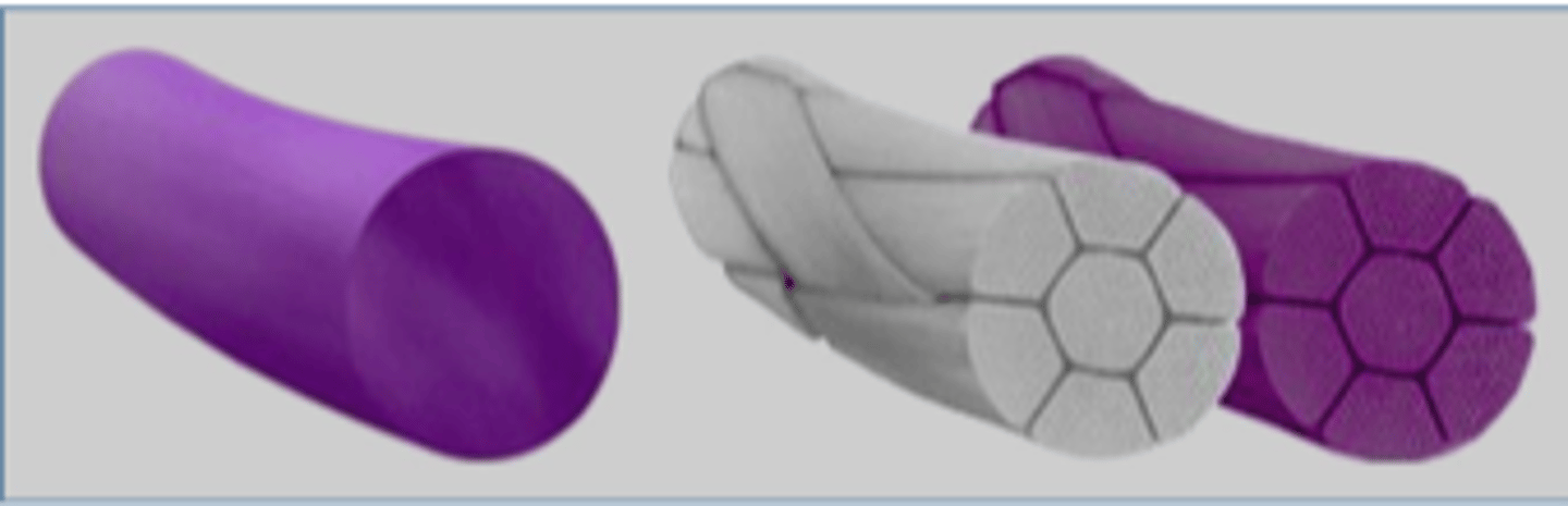 <p>Name the suture on the right</p>