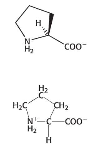 <p>Category: Hydrophobic </p>