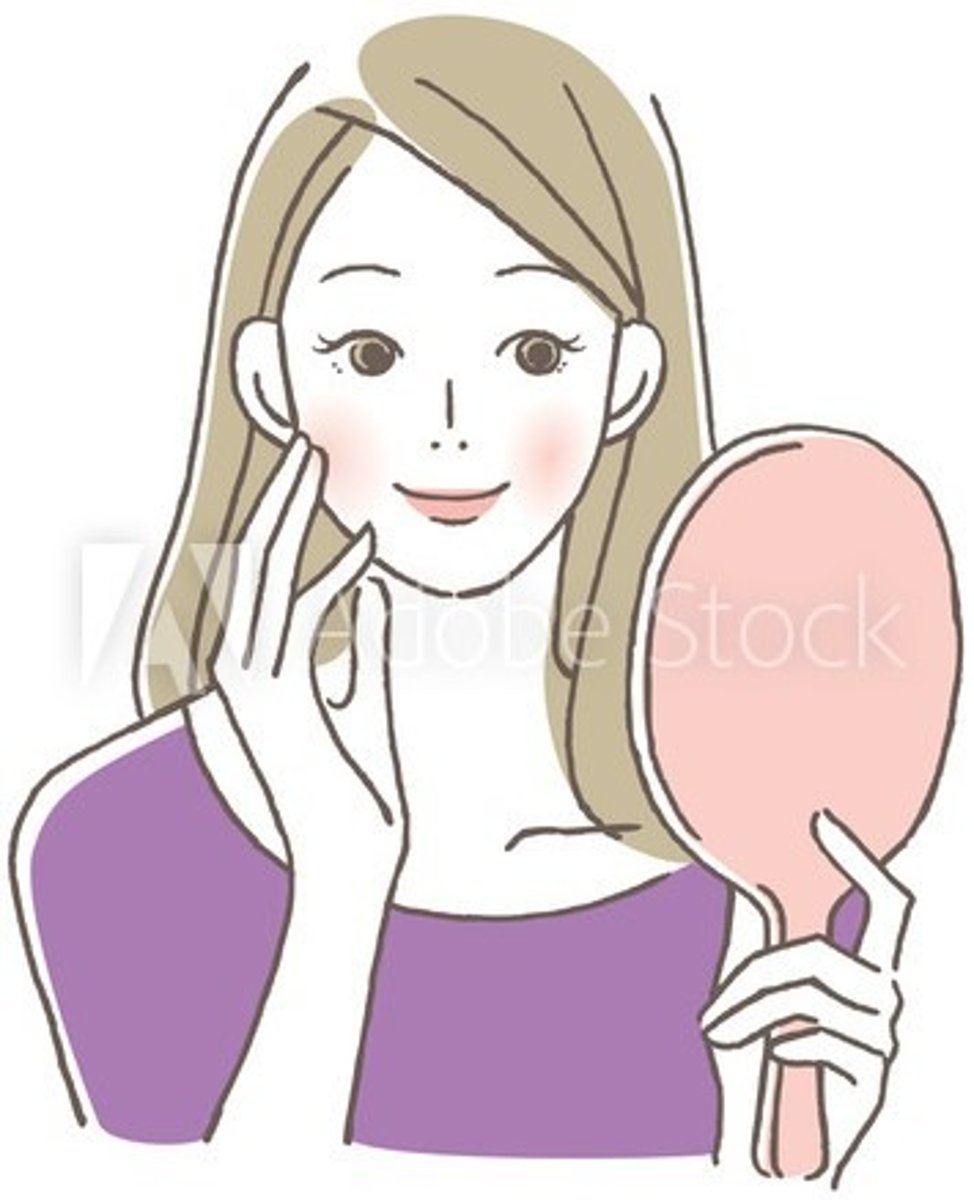 <p>to look in the mirror</p>