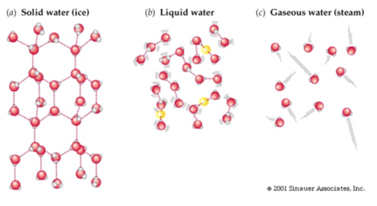 <p>FIXED LENGTH!! (Same length)</p><p>Gas- everywhere (no bond)</p><p>Liquid - breaks &amp; reform (some together, some out)</p><p>Solid- Little bit apart(dashed line bond)</p>