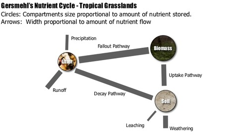 <p>Stores relatively even</p><p>biomass much smaller than rainforest due to shorter growing season</p><p>start of dry season: biomass→litter is high</p><ul><li><p>leaves fall</p></li><li><p>grasses die</p></li></ul><p>litter is small due to fires</p><p>slow transfer litter→soil in dry season</p><p>larger soil store than rainforest as:</p><ul><li><p>less vegetation demand</p></li><li><p>uptake mainly in wet season</p></li><li><p>less leaching overall</p></li></ul><p></p>