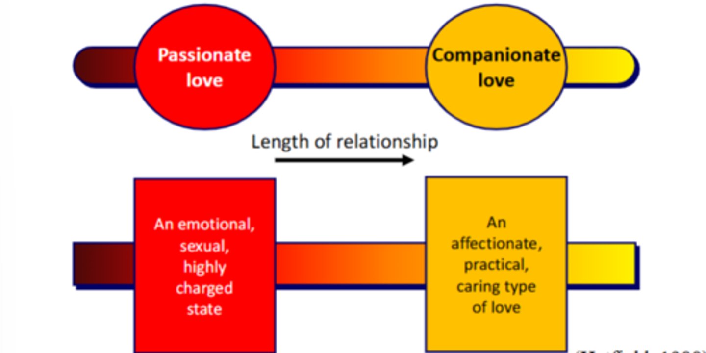 <p>have mostly been talking about passionate love so far</p>