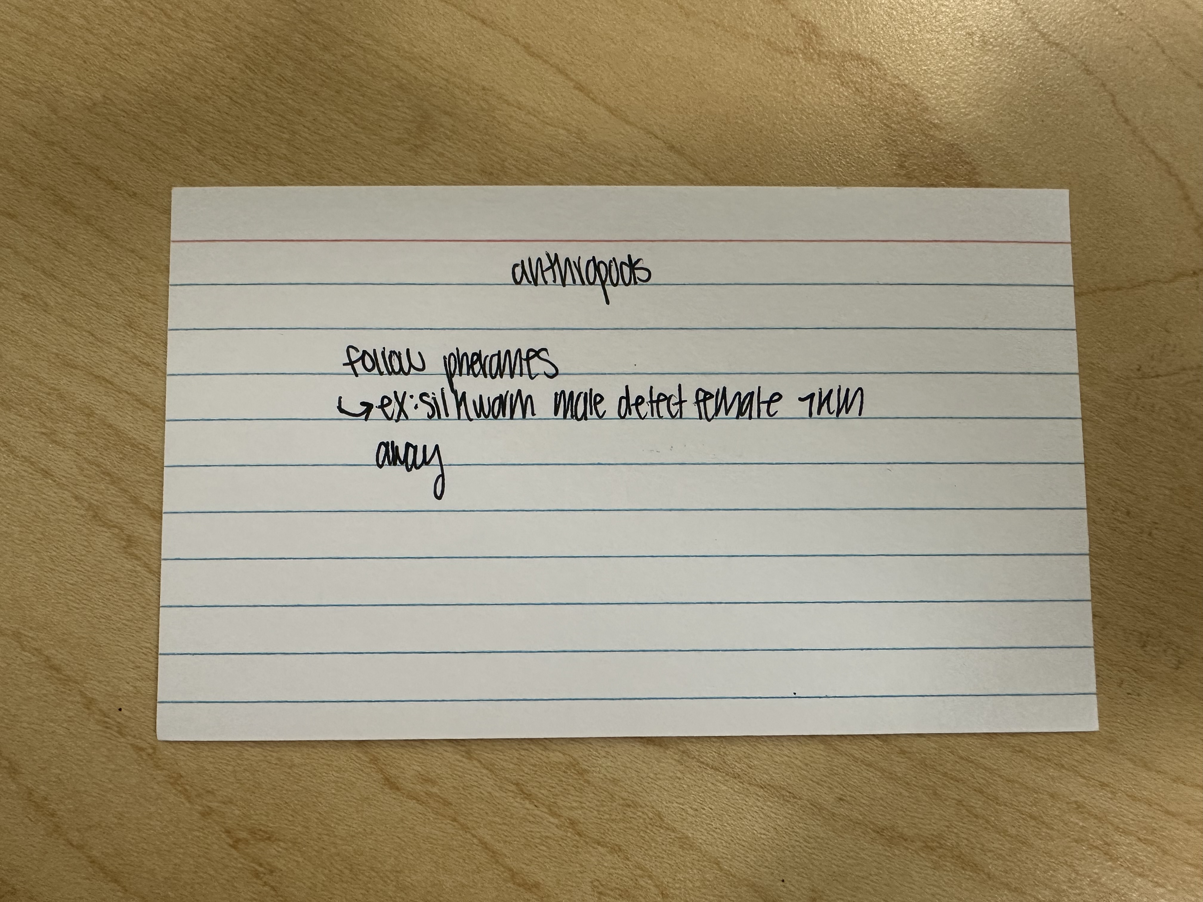 knowt flashcard image