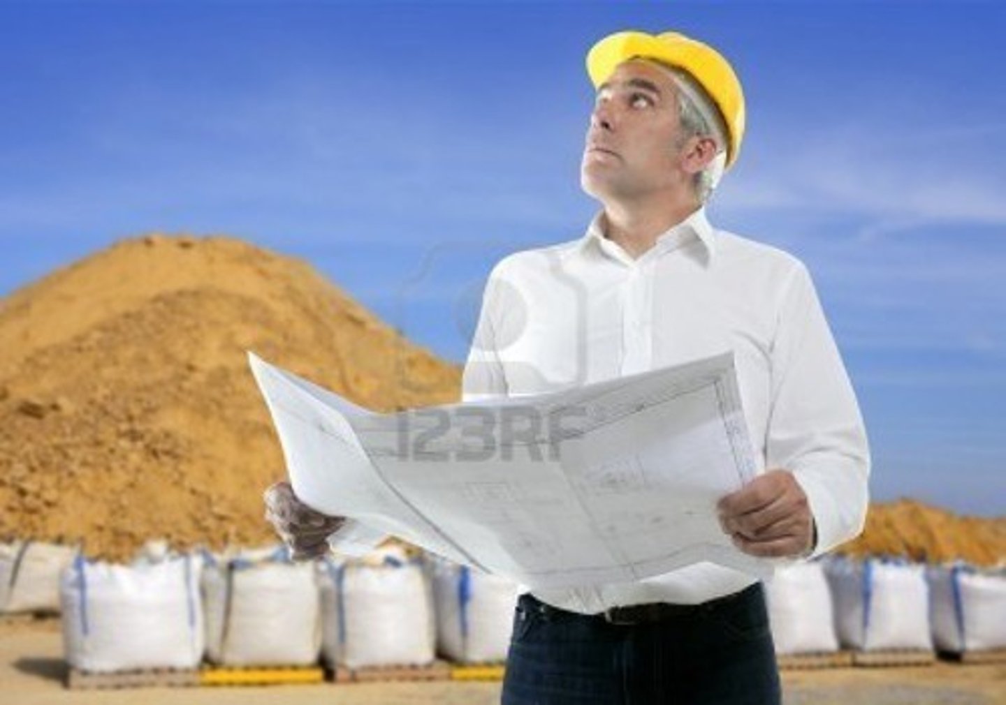 <p>architect</p>