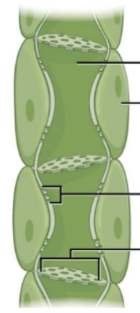 <p>What is this type of vessel</p>