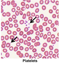 <p>in <strong>platelets </strong>numbers generally range from?</p>