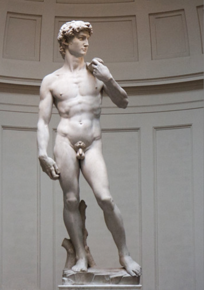 * Very tall compared to other David’s
* Was made as a civic monument for Florence; height and musculature show the capabilities and resiliency of Florentines
* No visible weapon, able to perform damage based on physicality alone
* Looking out and away, almost like he’s scanning the terrain looking for enemies
