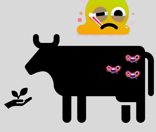 <p>increases susceptibility to infections</p>