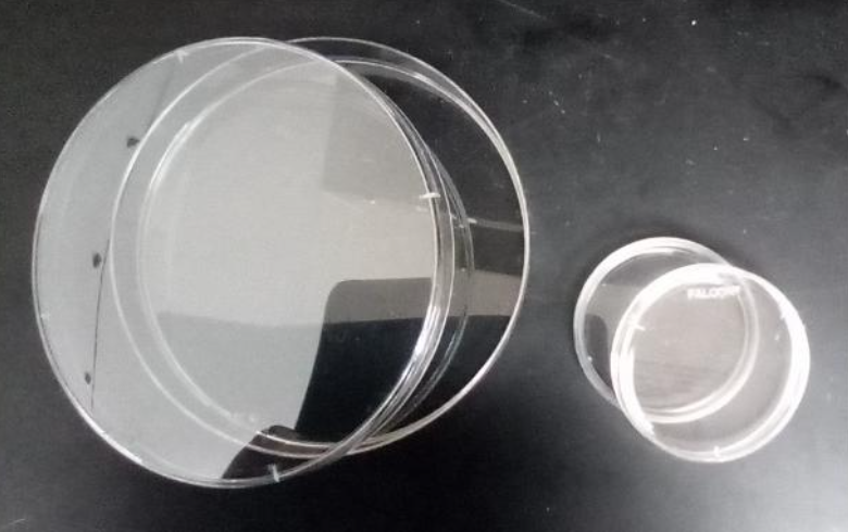 <p>petri dish</p>