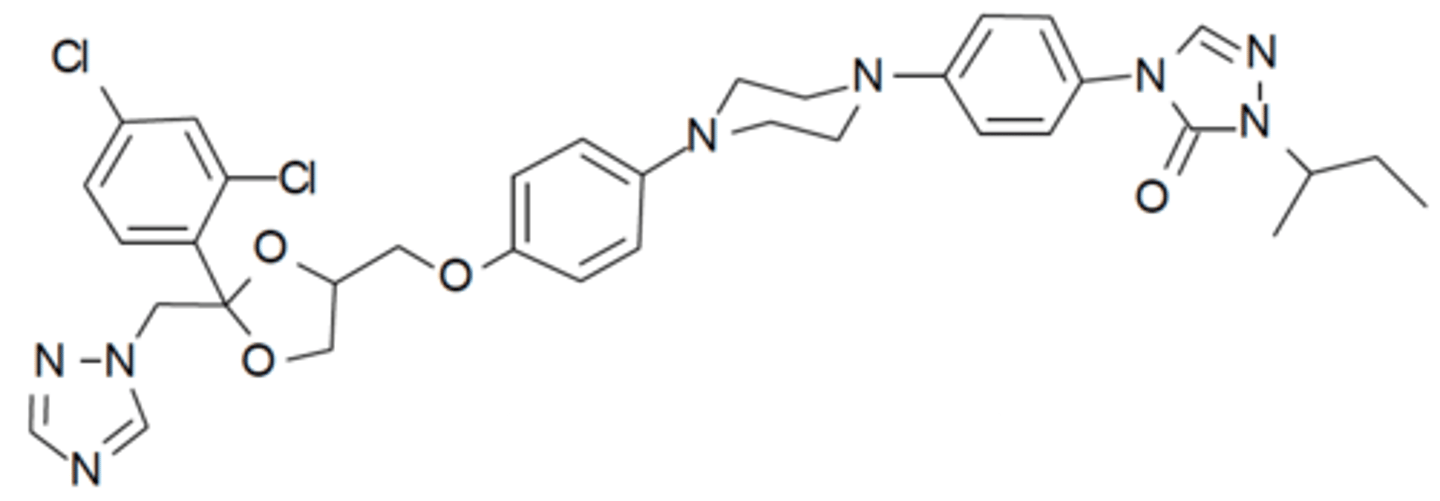 <p>systemic antifungal that covers Aspergillus and Candida</p>