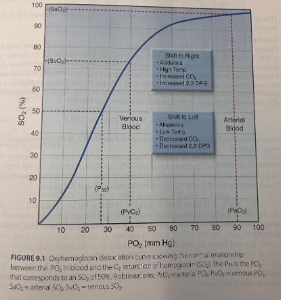 <ul><li><p><span>PaO2 is normally on the upper, flat part of the curve, which means that a large drop in PaO2 (down to 60 mmHg) results in only minor changes in SO2</span></p></li><li><p><span>PvO2 (which is ~40 mmHg) is on the steep portion of the curve which facilitates O2 uptake in the pulmonary capillaries</span></p></li></ul><p></p>