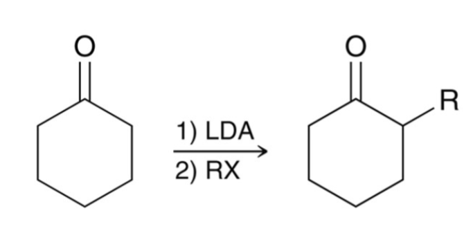 <ul><li><p>the alpha position can be alkylated when an enolate is treated with an alkyl halide.</p></li><li><p>the enolate attacks the alkyl halide via a S<sub>N</sub>2 reaction.</p></li></ul><p></p>