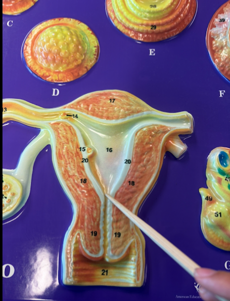 <p>What is this?</p>