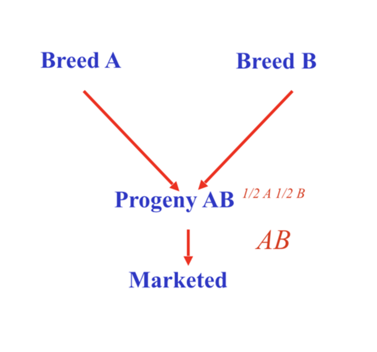 <p>100% heterosis</p>