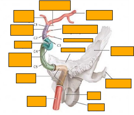 <p>Label this image </p>