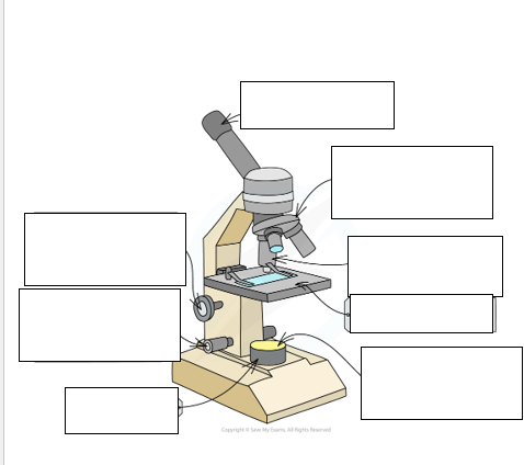 <p>Label this diagram of a light microscope</p>