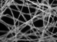 <p>what type of illumination is this</p>