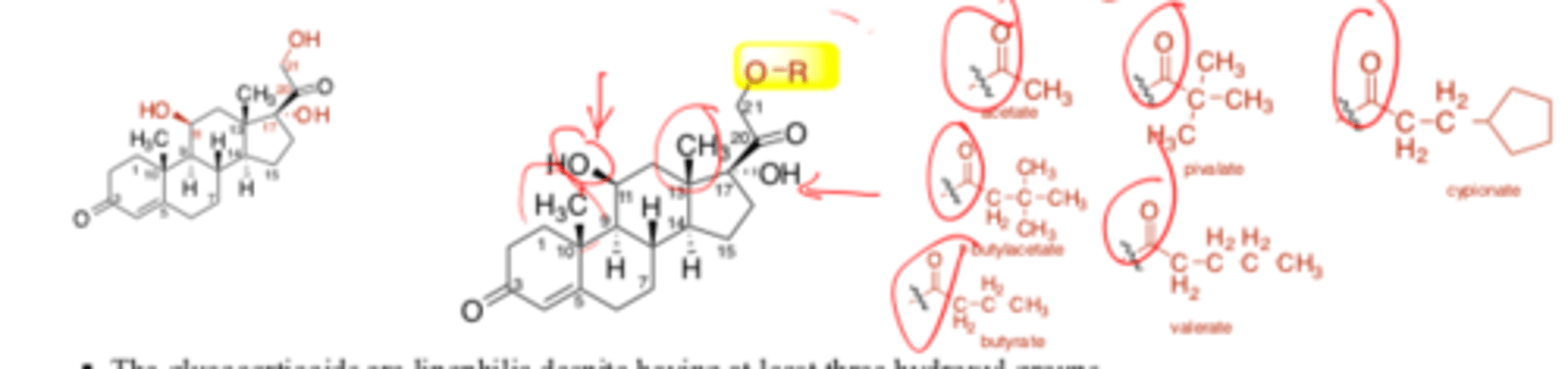 <p>Note the addition of the ketone groups</p>