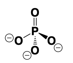 <p>What is the correct acronym?</p>