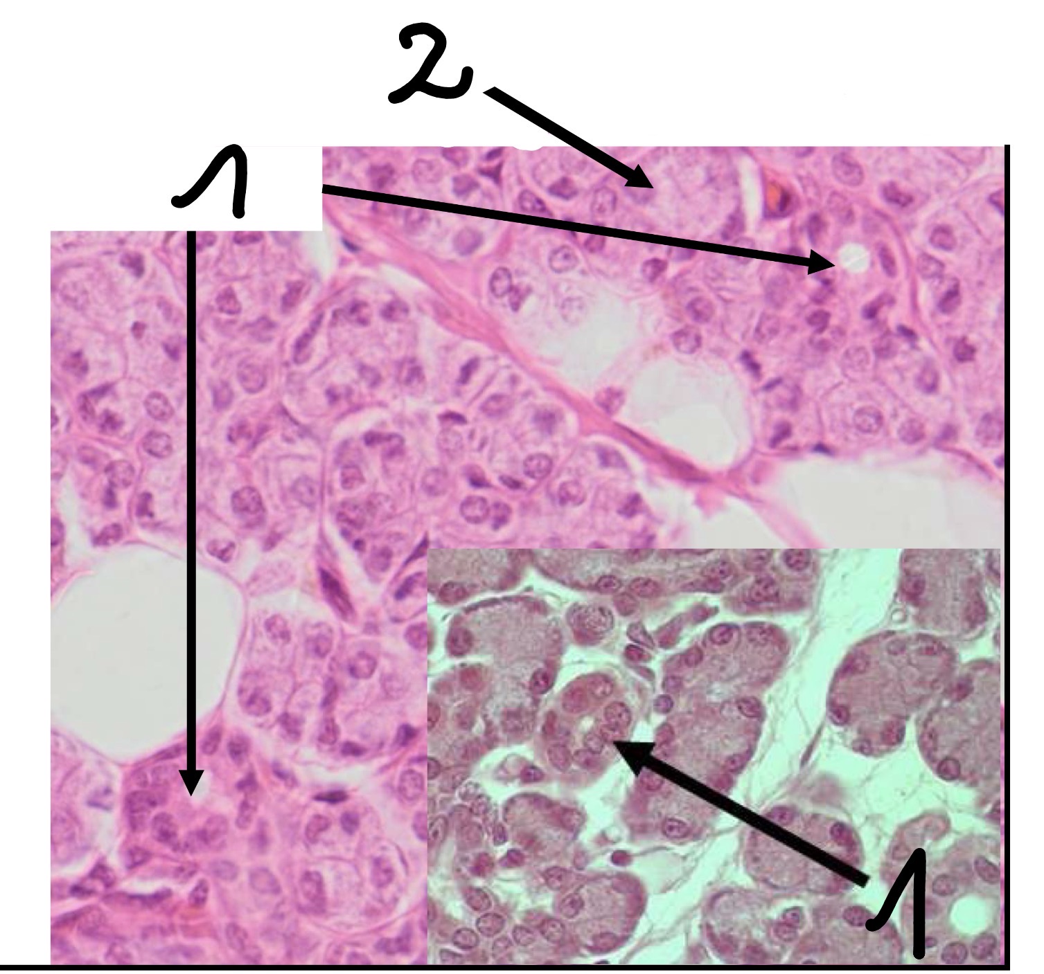 <p>2</p>