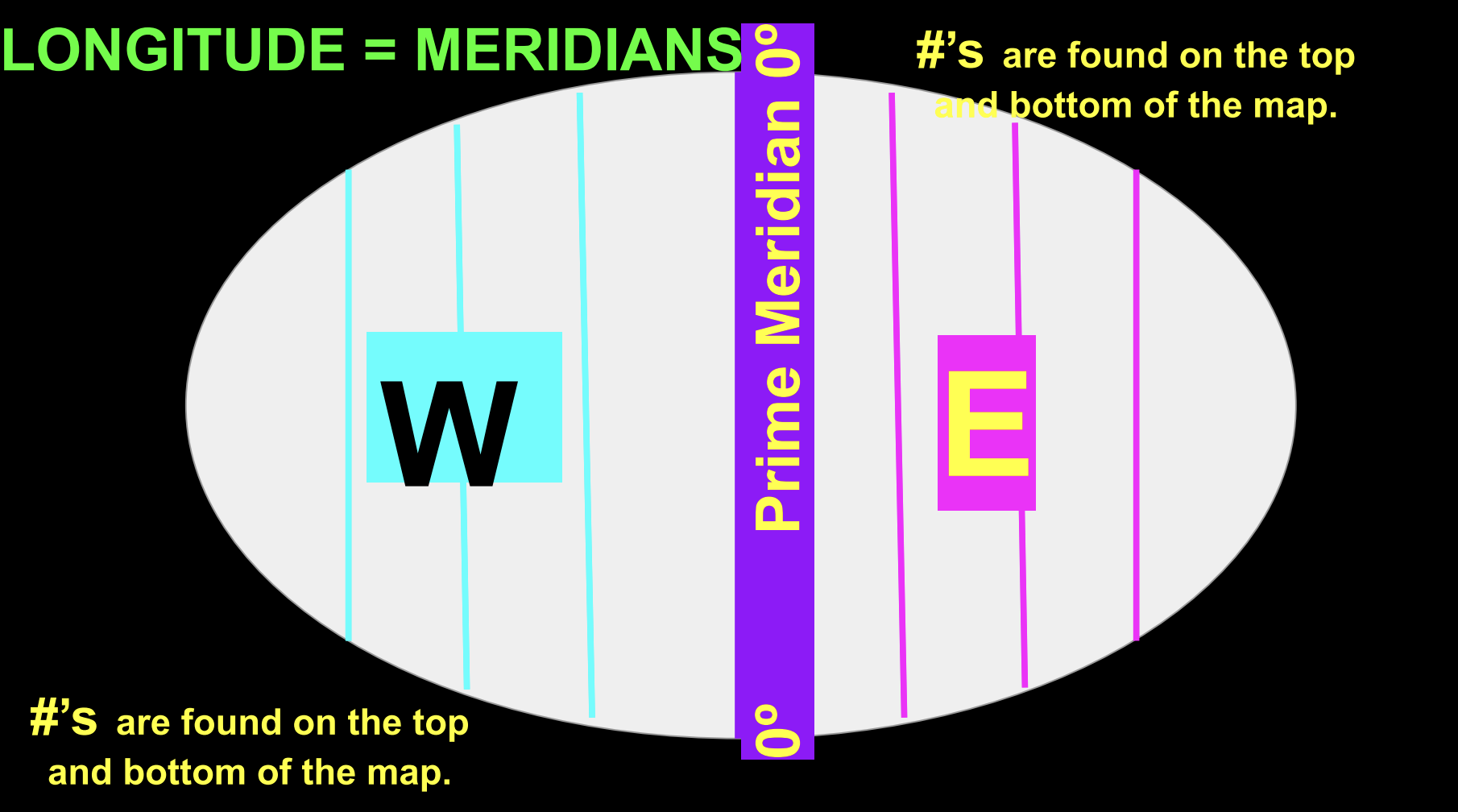 <p>Meridians</p>