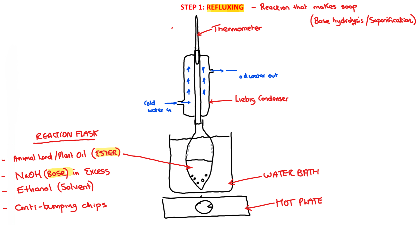 <p>➢ <strong>Lard/plant oil</strong> is placed into the reaction <strong>flask</strong>, pellets of <strong>sodium hydroxide, ethanol </strong>and some <strong>anti-bumping chips are added</strong></p><p>➢ The <strong>reactants</strong> are heated in the reaction flask using a hot plate and water bath and <strong>refluxed using a Liebig condenser for ̴30 minutes</strong></p>