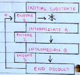 <p>As the enzyme converts substrate to product, the end-product begins to bind to the original enzyme - causing a change in shape of the active site.</p><p>The end product can detach itself and be used elsewhere, allowing the active site to be reformed.</p>