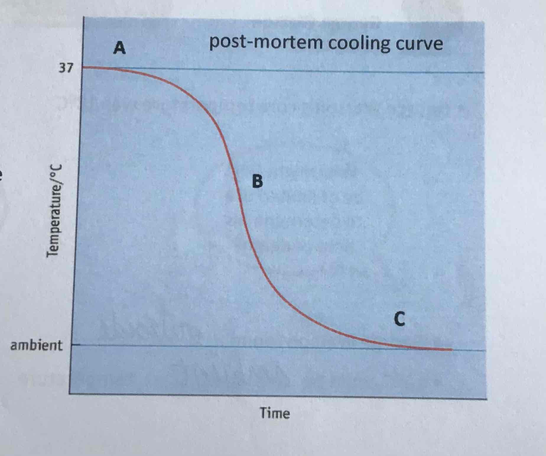 <p>point B on curve</p>