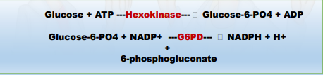 <ul><li><p><span style="color: yellow">Most specific</span> and <span style="color: yellow">reference method</span></p></li><li><p>Based on formation of NADH followed by increase in absorbance at <span style="color: red">340nm</span> (directly proportional to glucose concentration)</p></li><li><p>Falsely Low: Gross hemolysis (inhibits peroxidase), <span style="color: yellow">extremely increased Bilirubin</span></p></li><li><p>Not affected by <span style="color: yellow">Ascorbic Acid and Uric Acid</span></p></li><li><p>Specific glucose method which employs <span style="color: yellow">G6PD</span> as a second coupling step requiring <span style="color: yellow">Magnesium</span></p></li></ul><p>ENZYMES</p><ul><li><p><span style="color: red">Hexokinase</span></p></li><li><p><span style="color: red">G6PD</span></p></li></ul><p></p>