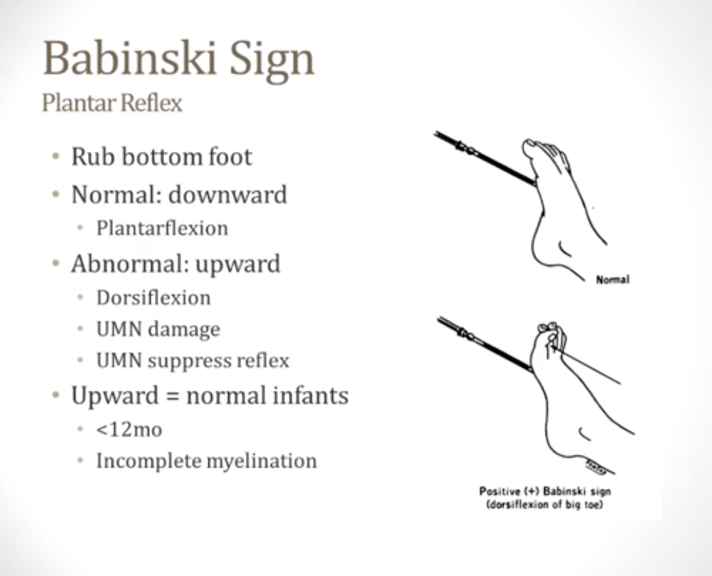 <p>tickle foot, toe goes up. not normal after age 2</p><p>*indicates UMN damage</p>
