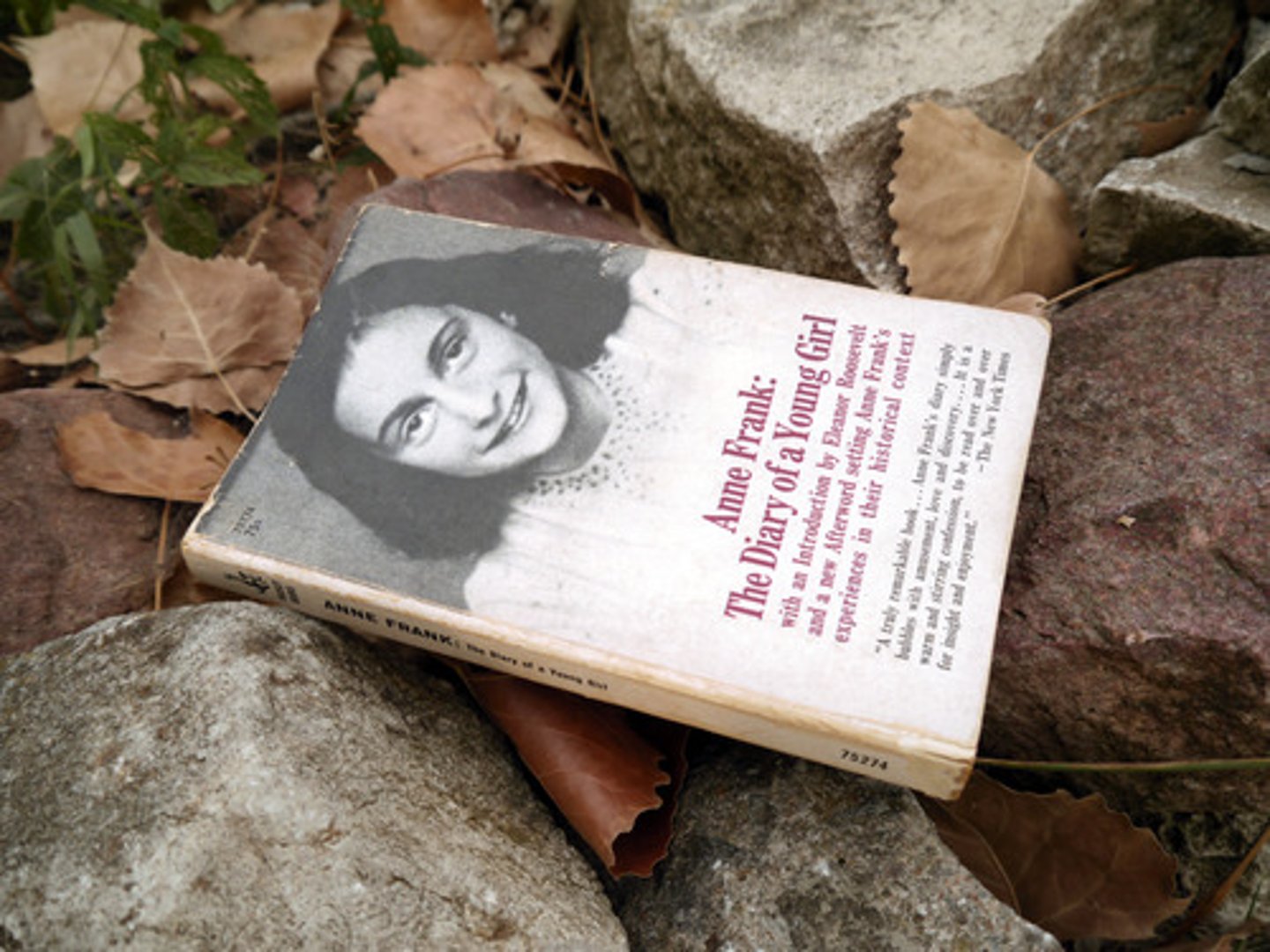 <p>Narrative literary form</p>