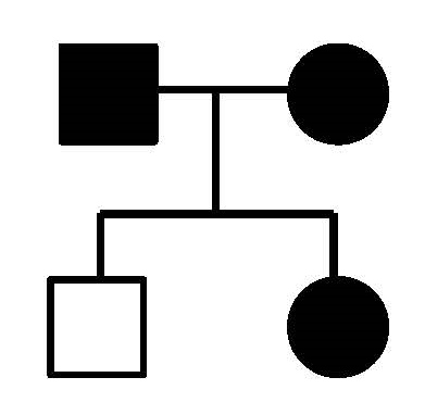 Is the inheritance pattern indicated by the shaded symbols in this pedigree consistent with the inheritance pattern of an autosomal dominant characteristic?