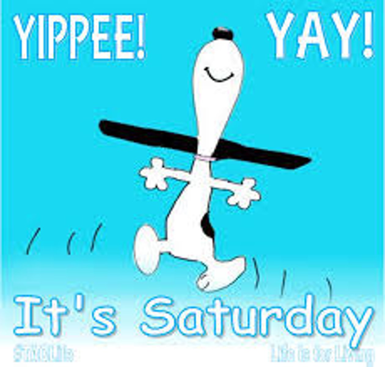 <p>Saturday</p>