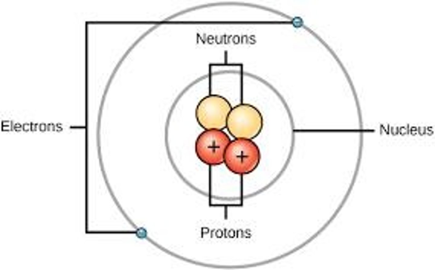 <p>IN THE NUCLEUS</p>