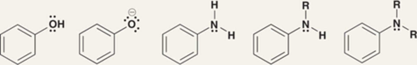 <p>Strong activators</p>