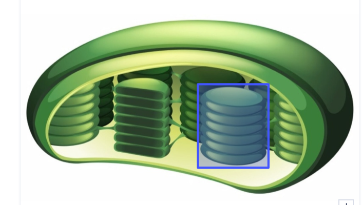 <p>What is this?</p>