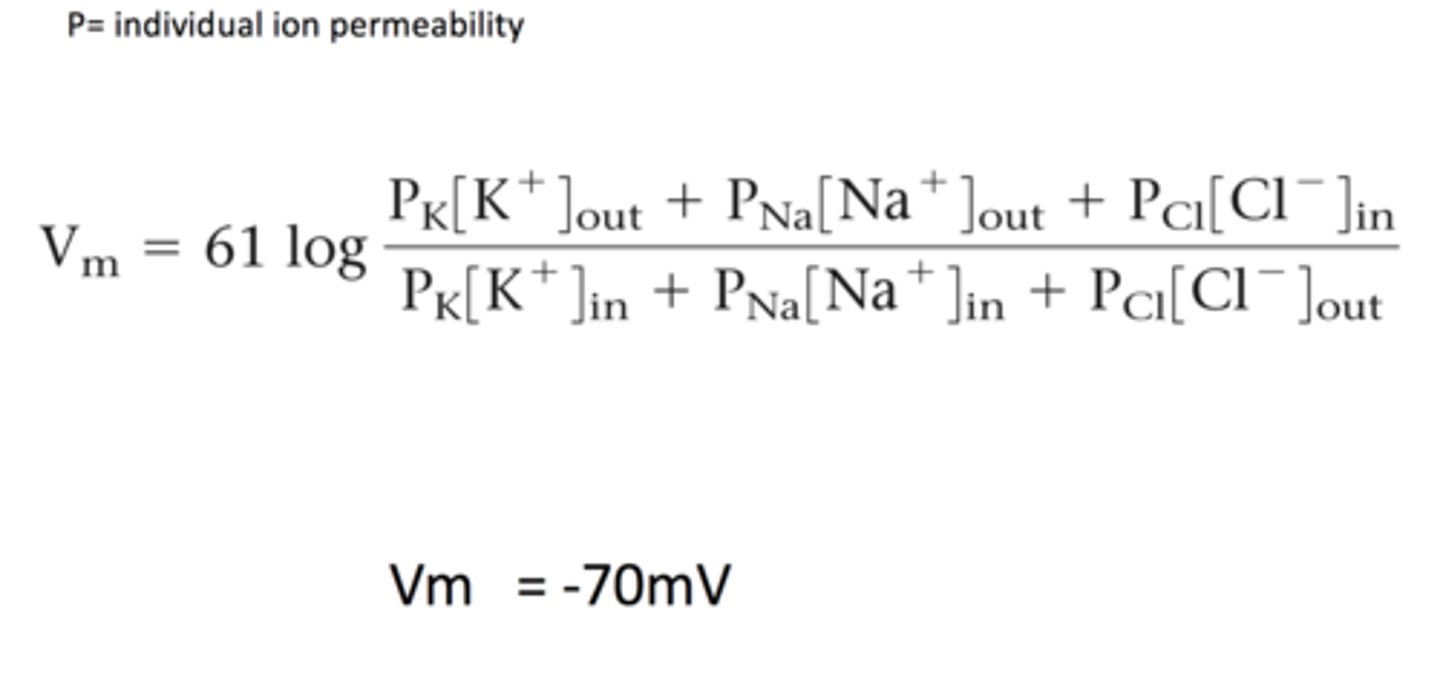 <p>The membrane potential that results from the contribution of all ions that can cross the membrane. We need to consider the permeability (P).</p>