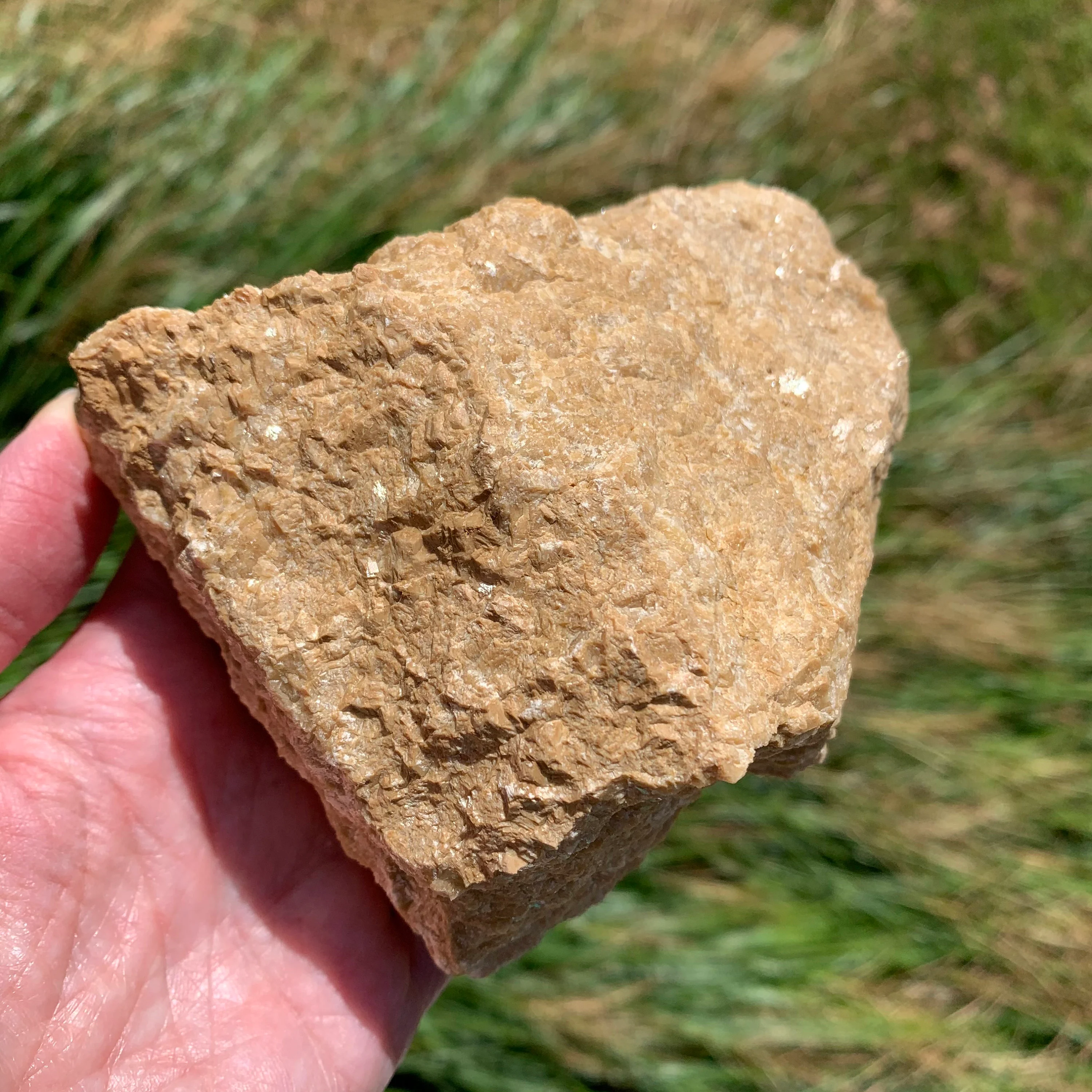 <p>What type of rock is this?</p>
