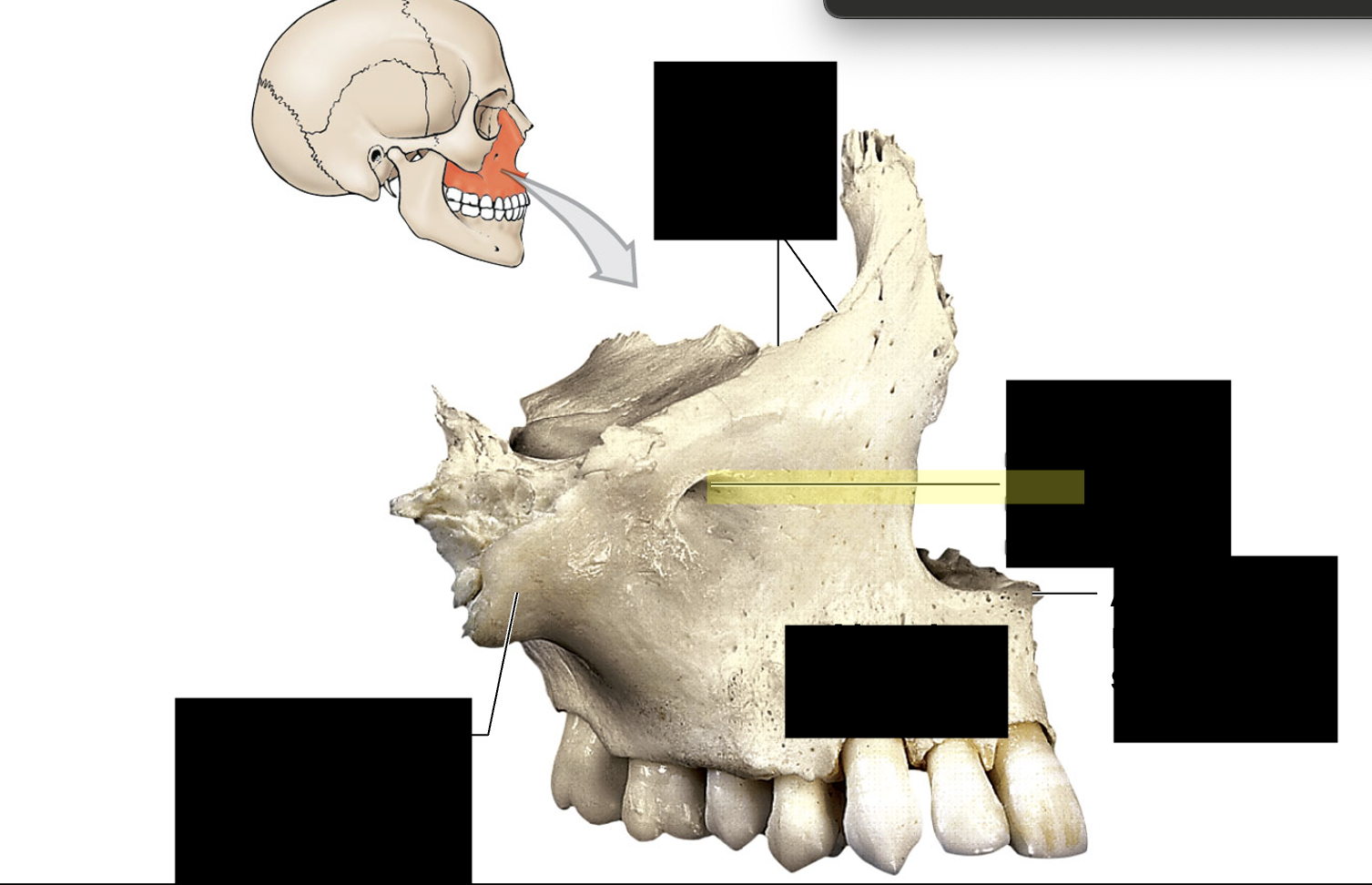 <p>What is the structure?</p>