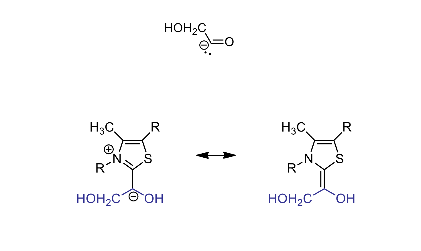 <p>TPP helps to stabilize the negatively charged intermediate formed during the reaction catalyzed by transketolase</p><ul><li><p>essential for proper progression of transketolase reaction</p></li><li><p>TPP has a positive charge so it can take the electrons from the unstable 2 carbon unit</p></li></ul>